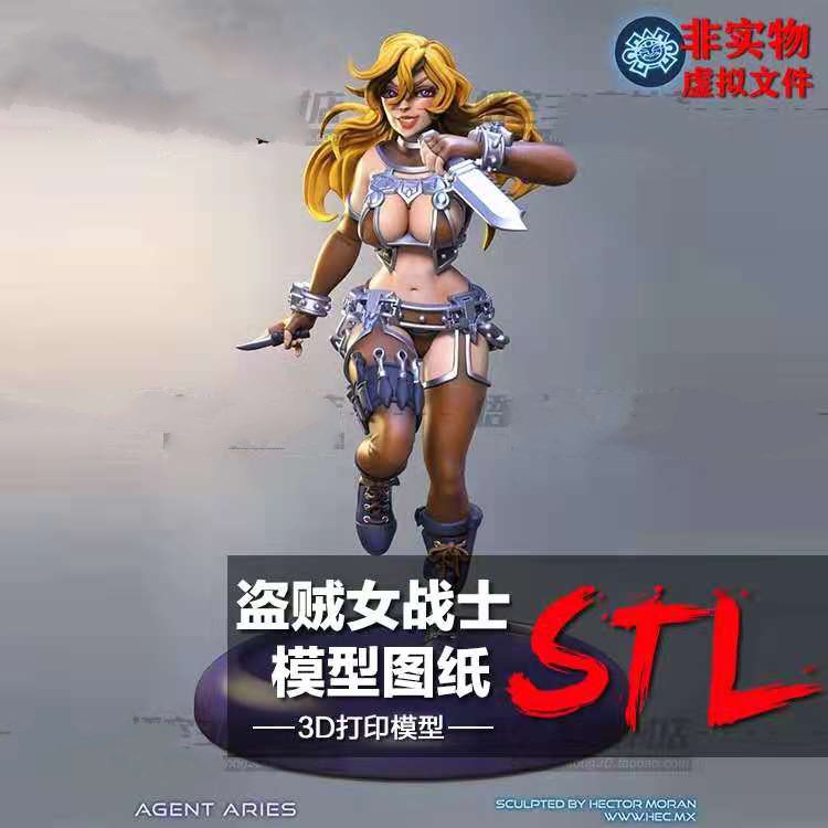 双刀妹子盗贼女战士树脂实物定制服务 3D打印图纸手办STL模型素材
