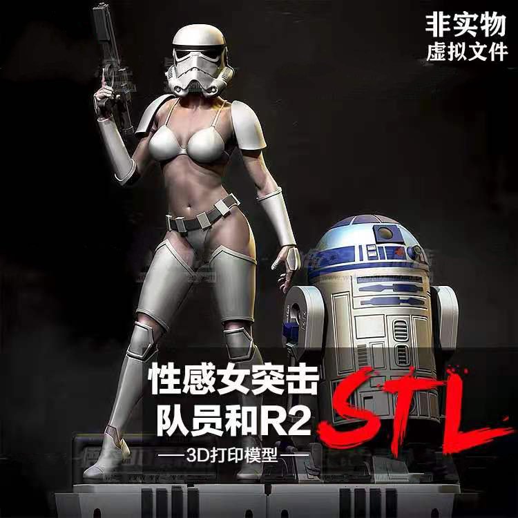 星球大战女突击队员和R2树脂实物定制 3D打印图纸手办STL模型素材