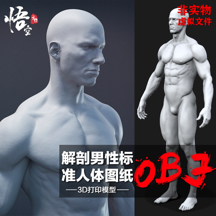 解剖男性标准人体雕像摆件模型图纸 3D打印定制服务 数据档案文件