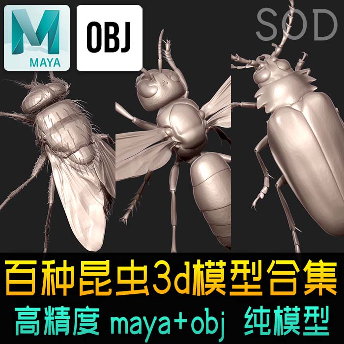 昆虫高精度3d模型包 甲虫瓢虫蜻蜓蚊虫蟋蟀苍蝇 obj模型素材