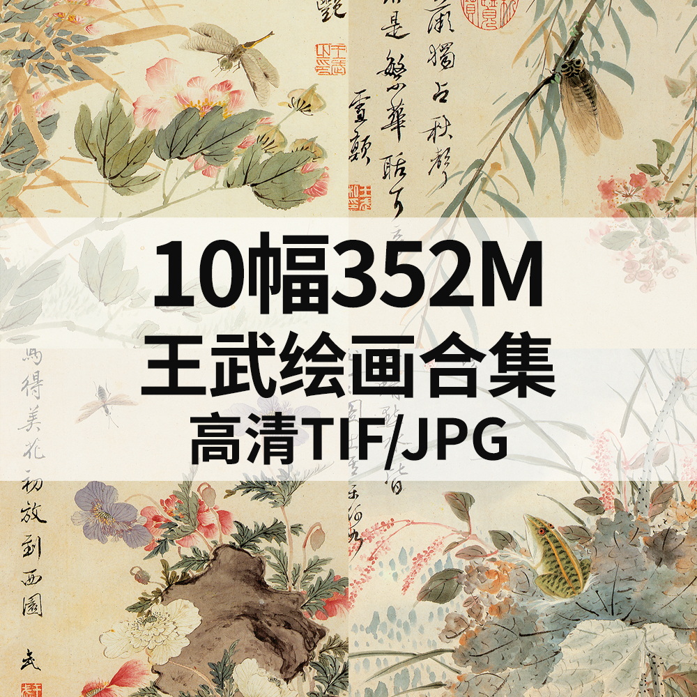 10幅352M王武绘画合集国画设色花卉花鸟高清电子风景素材