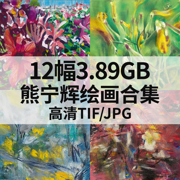 12幅3.89G熊宁辉油画合集高清电子抽象花卉风景素材