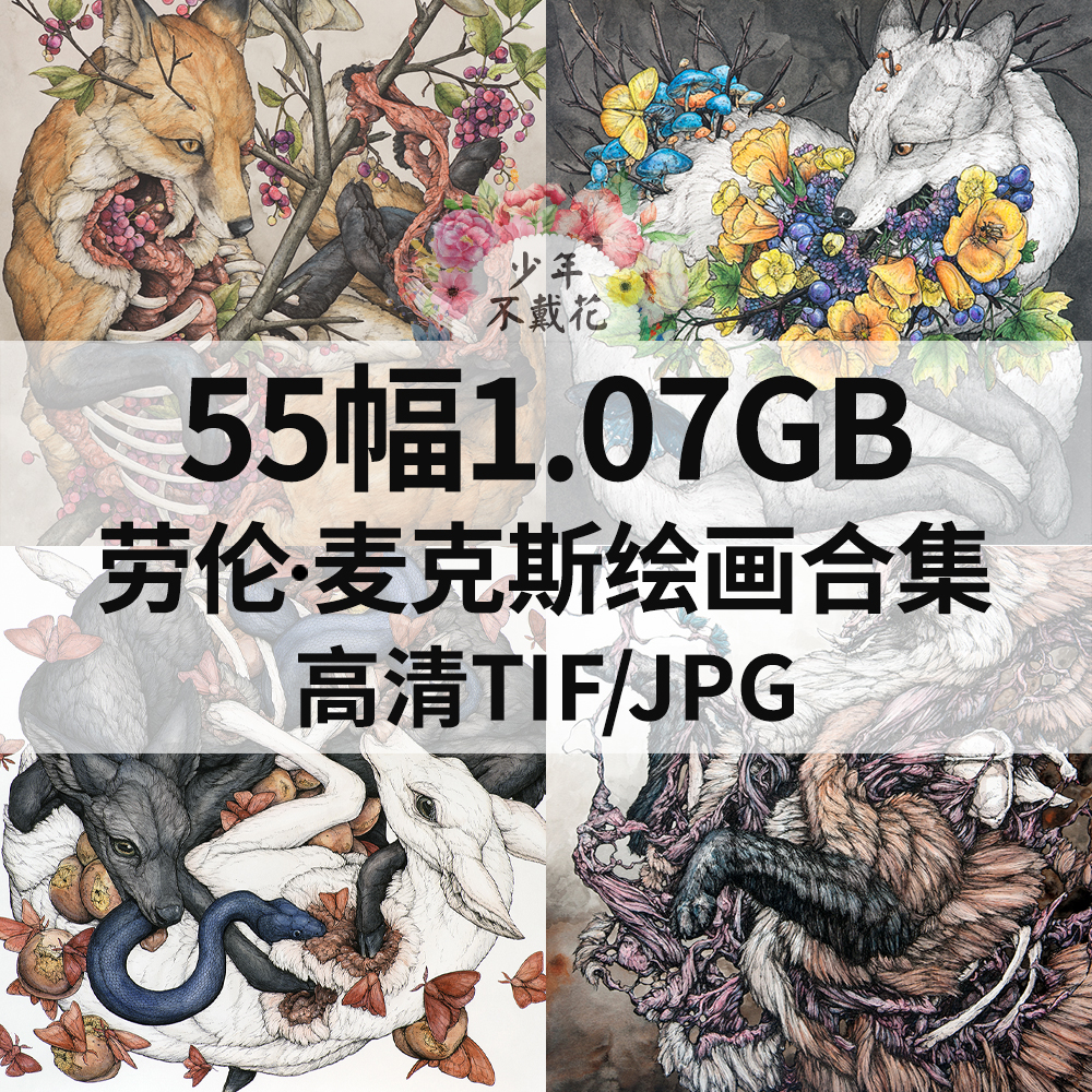 55幅1.07G劳伦 麦克斯Lauren Marx怪诞动物插画合集电子绘画素材
