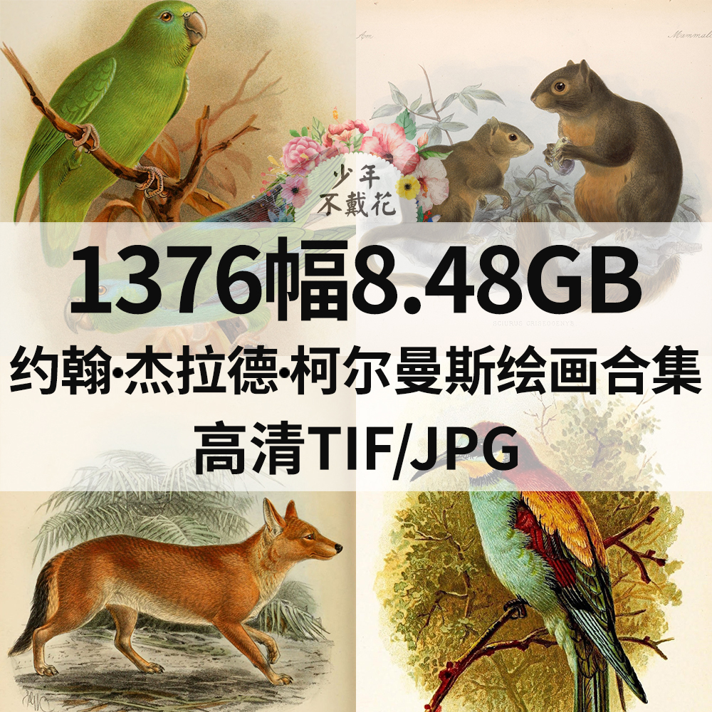 1376幅8.4G约翰·杰拉德·柯尔曼斯John Gerrard Keulemans油画电子禽鸟动物素材