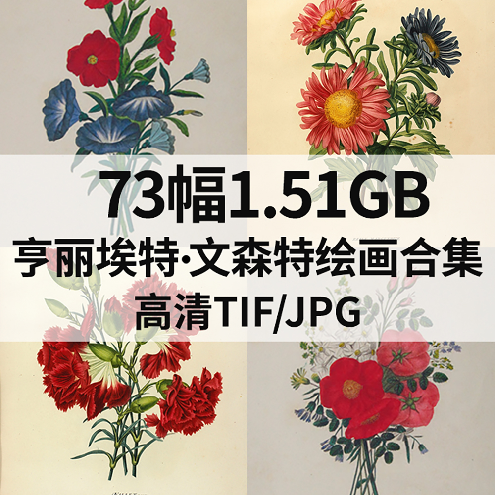 73幅1.51G亨丽埃特Henriette Vincent油画合集电子植物花卉素材